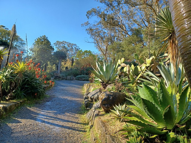 حديقة سان فرانسيسكو النباتية 