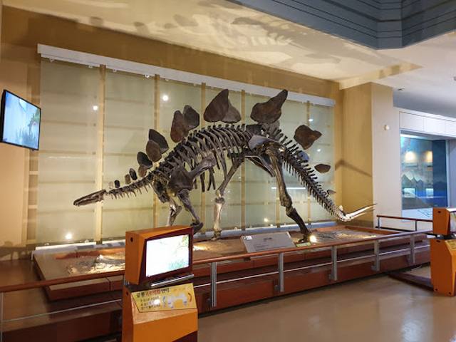 متحف سيوديمون للتاريخ الطبيعي في سيول