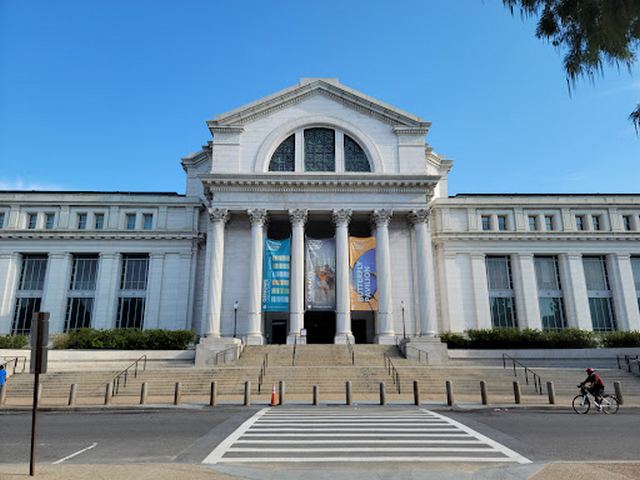 المتحف الوطني للتاريخ الطبيعي واشنطن
