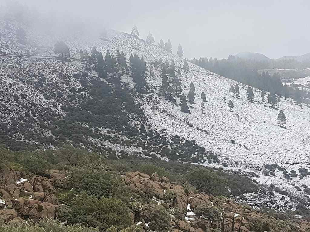 جبل بوزو دي لاس نيفيس في جزر الكناري