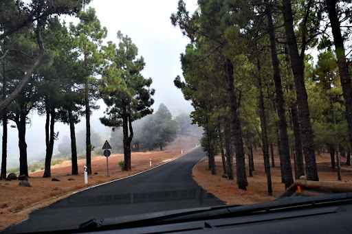 جبل بوزو دي لاس نيفيس في جزر الكناري