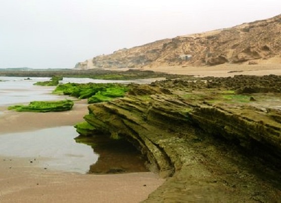 شواطئ متنزه سوس ماسة الوطني في أغادير