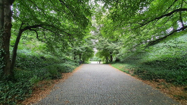 حديقة ستيفان سيرومسكي وارسو