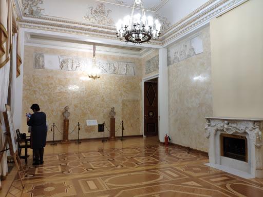 قصر ستروجانوف في سانت بطرسبرغ