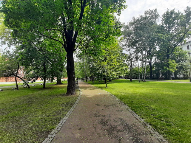 حديقة سترزيليكي كراكوف