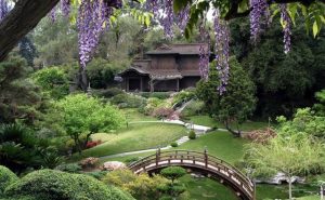 أفضل الأنشطة في حديقة هنتنغتون اليابانية لوس انجلوس