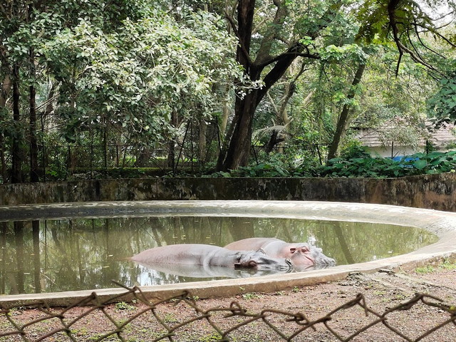 حديقة حيوان ومتحف ثريسور كيرلا - السياحة في كيرلا