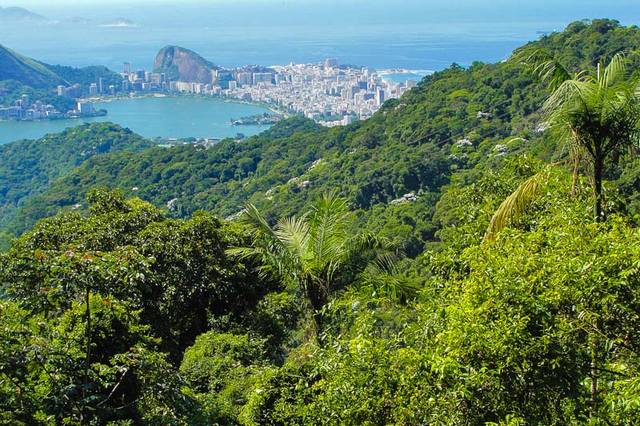 حديقة تيجوكا الوطنية في مدينة ريو دي جانيرو من افضل حدائق ريو دي جانيرو