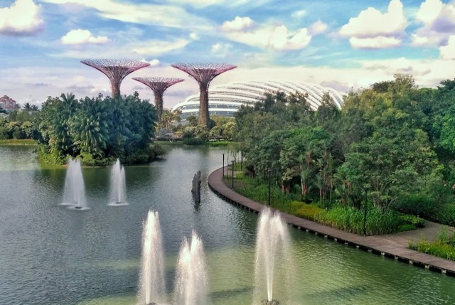 الاسترخاء وسط الطبيعة في حدائق سنغافورة