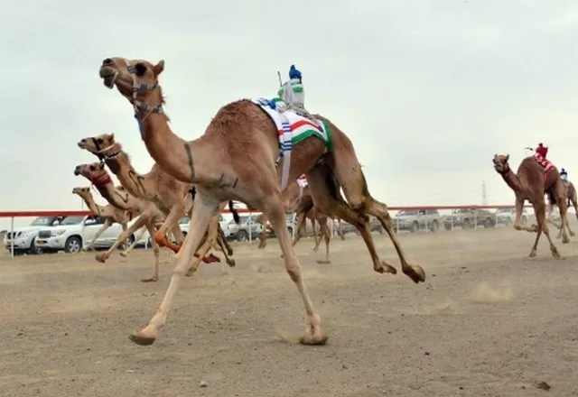 السياحة في ولاية صحار