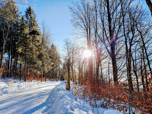 جبل أوتليبيرج في زيورخ