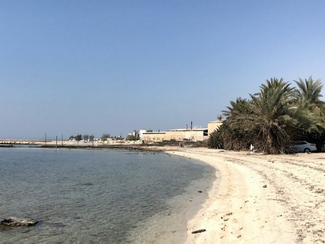 شاطئ ام باب في قطر