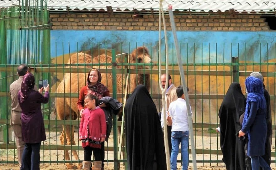 حديقة حيوانات وكيل آباد،مشهد 