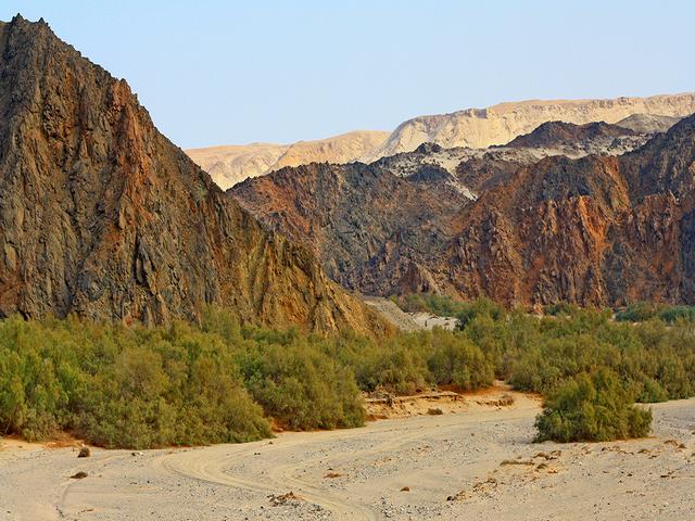 منتزه وادي الجمال الوطني مرسى علم