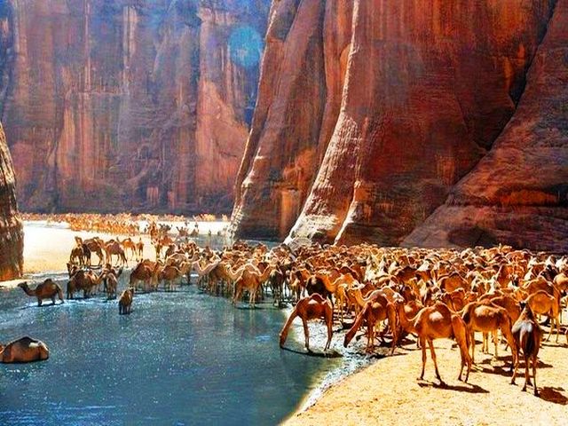 منتزه وادي الجمال الوطني في مرسى علم