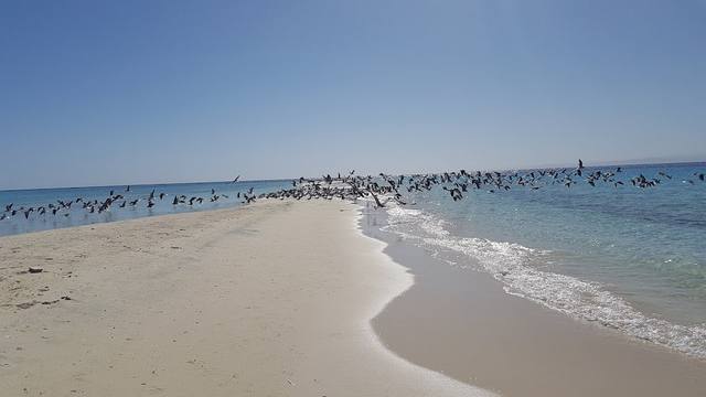 جزيرة وادي جمال في مرسى علم