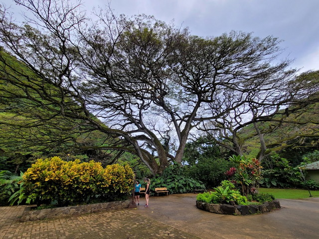 حديقة وادي وايميا هاواي