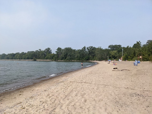 شاطئ جزيرة وارد تورنتو