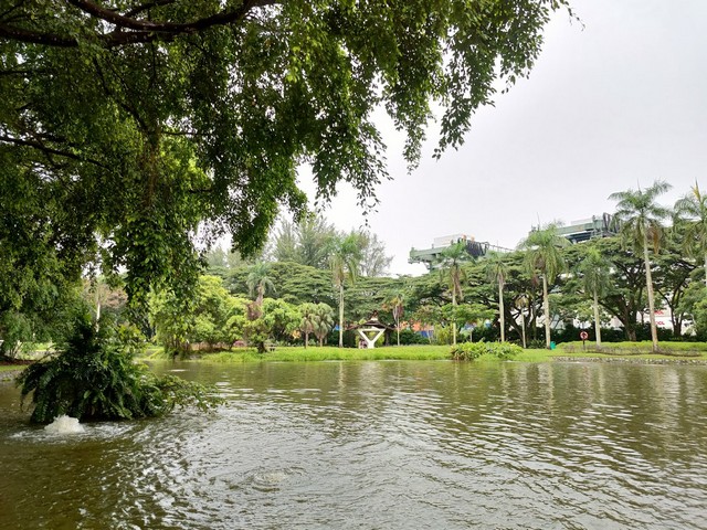 اجمل الحدائق في سنغافورة