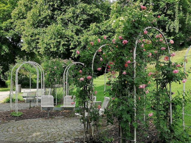 حديقة زهور ويست بارك في ميونخ