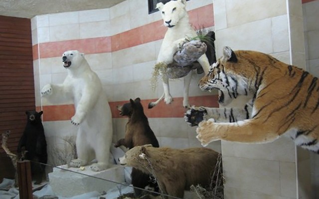 حديقة الحيوانات في جيجل 