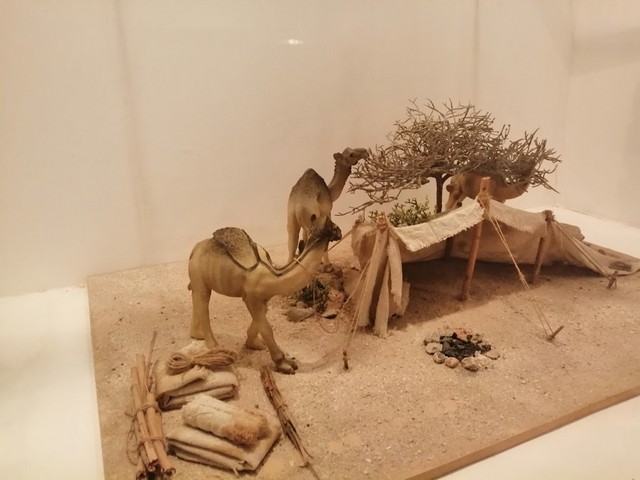 متحف تاريخ ابوظبي والمتحف المائي في ابوظبي