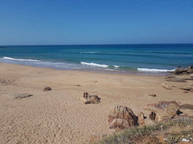 شاطئ في طنجة