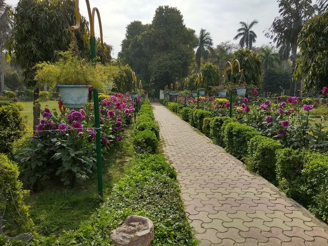 الحدائق في نيودلهي
