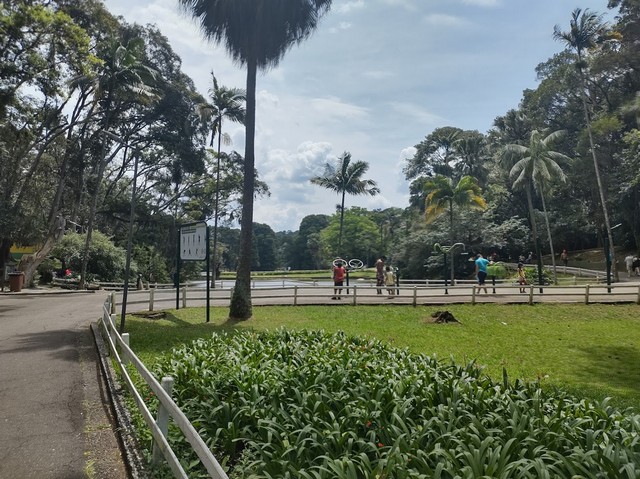 حديقة ألبرت لوفرين ساو باولو