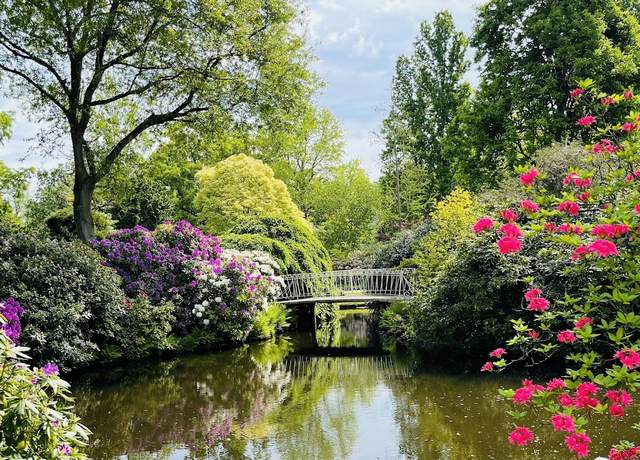حديقة نباتات ترومبين في روتردام