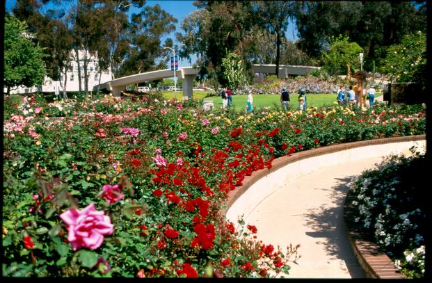 حديقة بالبوا سان دييغو الاماكن السياحية في سان دييغو