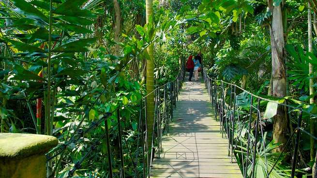 حديقة طيور بالي من اجمل الاماكن السياحية في بالي اندونيسيا