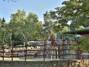 أفضل 9 أنشطة في حديقة حيوانات بلغراد
