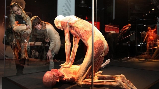 متحف عالم جسم الانسان امستردام