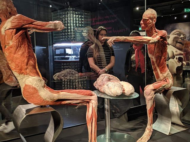 متحف عالم جسم الانسان في امستردام