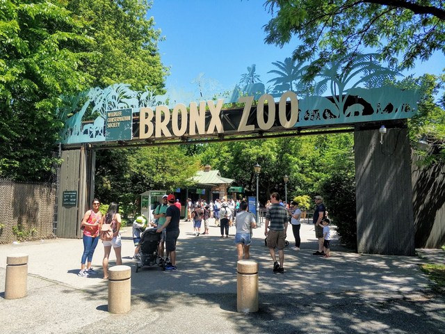 حديقة حيوانات برونكس نيويورك