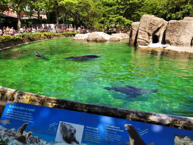 حديقة حيوانات برونكس في نيويورك