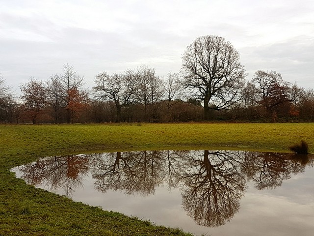 حديقة برونتوود في مانشستر