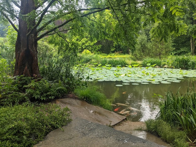 حديقة شانتكلير فيلادلفيا