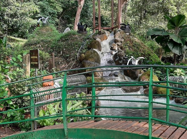 حدائق بينانج النباتية  