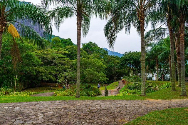 اجمل الحدائق في ريو دي جانيرو