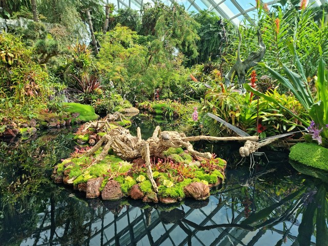 حديقة كلاود فورست النباتية سنغافورة