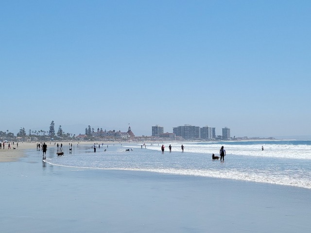 شاطئ كورونادو دوج بارك في سان دييغو