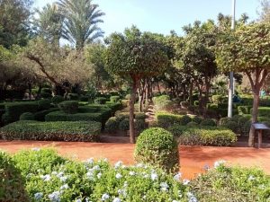 3 أنشطة في حديقة مولاي عبدالسلام مراكش