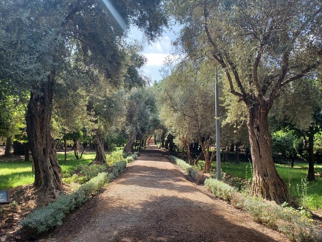 حديقة مولاي عبدالسلام مراكش