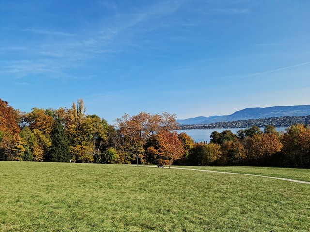حديقة دي لاريانا في جنيف