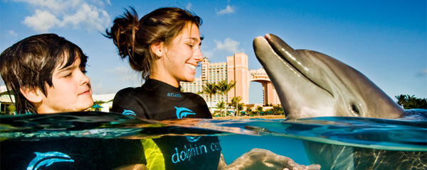 افضل 5 انشطة في خليج الدلافين في دبي الامارات