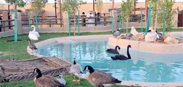 حديقة حيوان دبي من اجمل اماكن السياحة في دبي الامارات