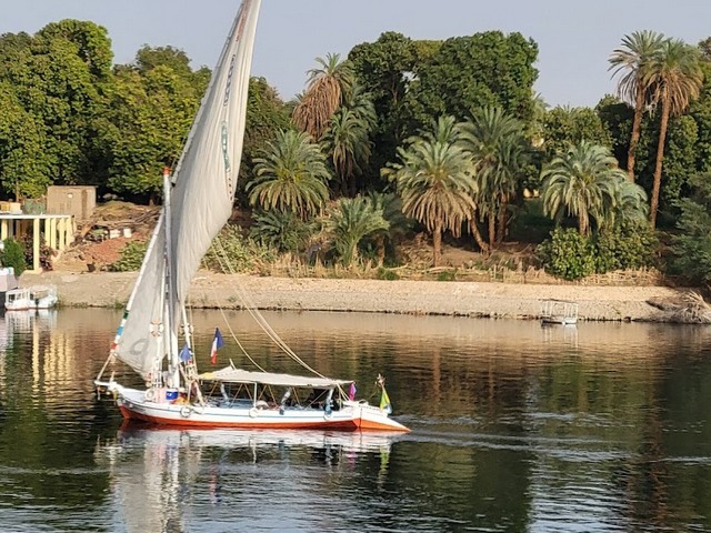 جزيرة النباتات في اسوان