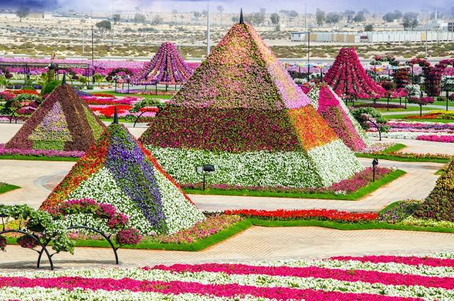 حديقة الزهور في دبي والتي تضم اجمل تصاميم الزهور